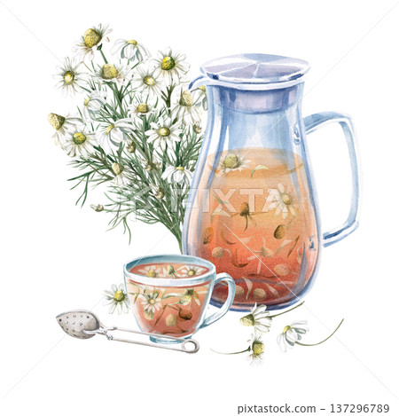 A watercolor illustration of chamomile tea in a teapot and cup, a bouquet, and a tea spoon. Perfect for designs related to natural beverages, spas, healthy living, restaurants, cafes, and eco-themes. A watercolor illustration of chamomile tea in a teapot and cup, a bouquet, and a tea spoon. Perfect for designs related to natural beverages, spas, healthy living, restaurants, cafes, and eco-themes. 137296789