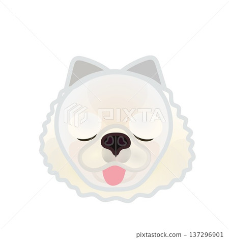 博美犬臉部插圖 博美犬臉部插圖 137296901