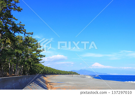 Scenery of Miho no Matsubara and Mt. Fuji, Shizuoka City, Shizuoka Prefecture Scenery of Miho no Matsubara and Mt. Fuji, Shizuoka City, Shizuoka Prefecture 137297010