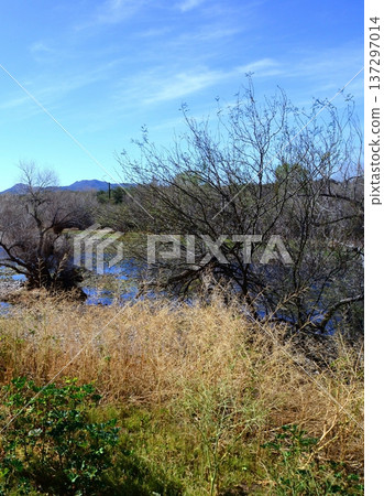 Salt River Recreation Area Arizona 137297014