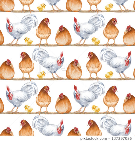 Horizontal seamless pattern with hens, chicks and roosters sitting and standing on a roost. Watercolor illustration of a poultry yard on an isolated background. Brown hens, white rooster and chickens 137297086