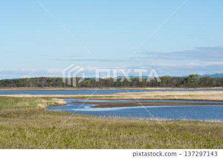 Quiet early spring lake Quiet early spring lake 137297143