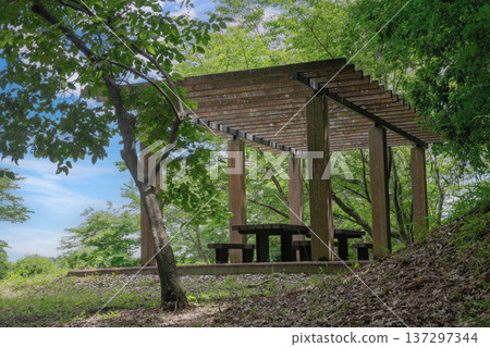 新的綠色和公園在公園裡 新的綠色和公園在公園裡 137297344