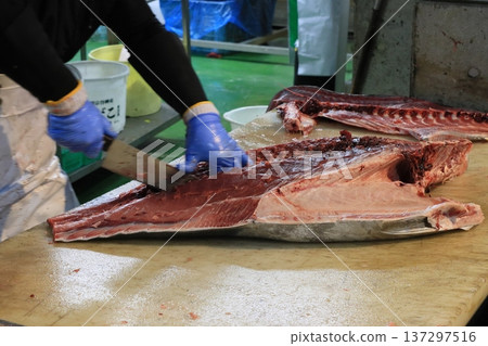 Raw bluefin tuna being butchered by a tuna craftsman Raw bluefin tuna being butchered by a tuna craftsman 137297516