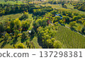 Aerial view of rural countryside landscape with vineyard fields and mansion in autumn New York State USA 137298381