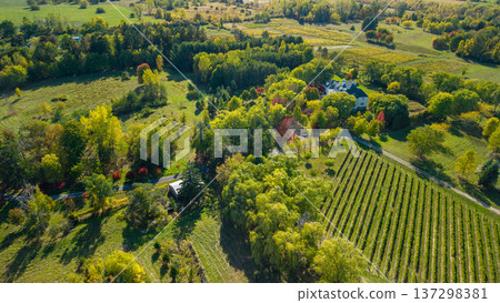 Aerial view of rural countryside landscape with vineyard fields and mansion in autumn New York State USA 137298381