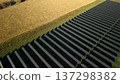 Aerial view of solar farm with rows of photovoltaic panels next to agricultural field producing renewable electricity 137298382