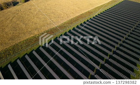 Aerial view of solar farm with rows of photovoltaic panels next to agricultural field producing renewable electricity 137298382