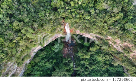 Top down aerial view of waterfall and forest canopy Top down aerial view of waterfall and forest canopy 137298603