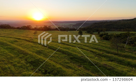 Sunset over rolling pasture fields in rural Brazil Sunset over rolling pasture fields in rural Brazil 137298604