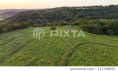 Aerial view of pasture with contour farming patterns Aerial view of pasture with contour farming patterns 137298605