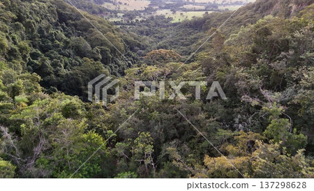 Cassilandia, Mato Grosso do Sul, Brazil - 04 05 2024: Forest canyon aerial landscape Cassilandia, Mato Grosso do Sul, Brazil - 04 05 2024: Forest canyon aerial landscape 137298628