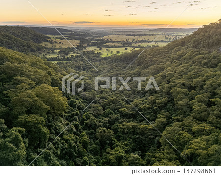 Cassilandia, Mato Grosso do Sul, Brazil - 04 05 2024: Forest canyon aerial landscape 137298661