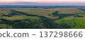 Brazilian countryside pasture landscape aerial panorama 137298666