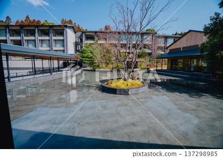 Kyoto's beautiful gardens 137298985