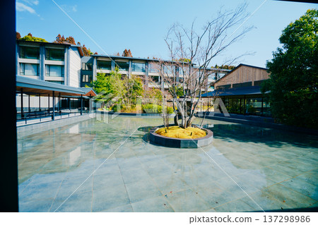 Kyoto's beautiful gardens 137298986