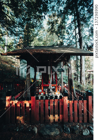 Kyoto's beautiful gardens Kyoto's beautiful gardens 137298990