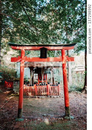 京都的美麗花園 137298992