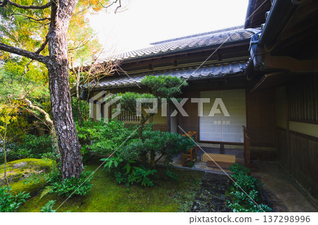 京都的美麗花園 京都的美麗花園 137298996