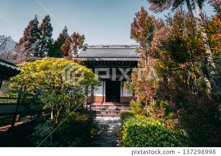 Kyoto's beautiful gardens 137298998