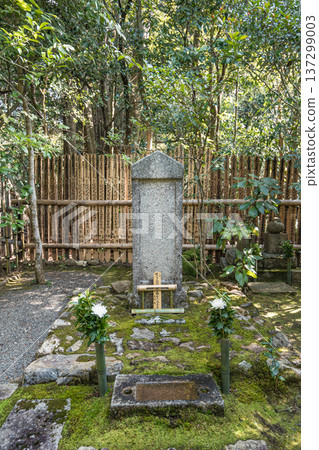 Kyoto's beautiful gardens Kyoto's beautiful gardens 137299003
