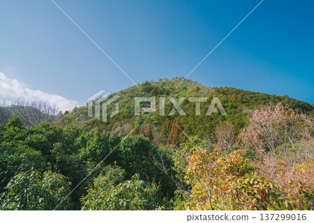 Kyoto's beautiful gardens Kyoto's beautiful gardens 137299016