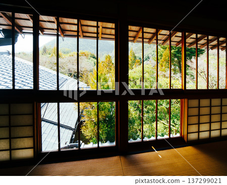 京都的美麗花園 京都的美麗花園 137299021