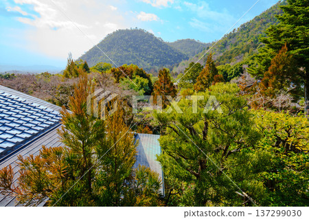 Kyoto's beautiful gardens 137299030