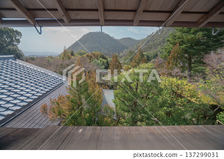 Kyoto's beautiful gardens Kyoto's beautiful gardens 137299031
