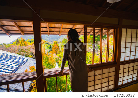 Kyoto's beautiful gardens Kyoto's beautiful gardens 137299038