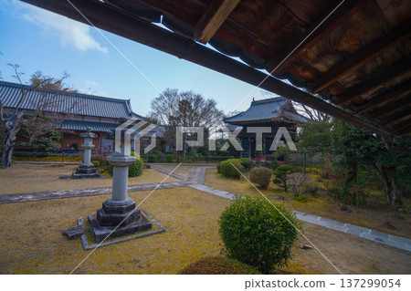 京都的美麗花園 京都的美麗花園 137299054