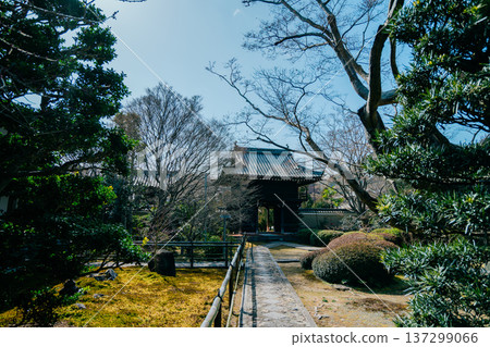 京都的美麗花園 京都的美麗花園 137299066