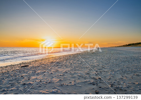 靜岡縣濱松市中田島沙丘的景色 137299139