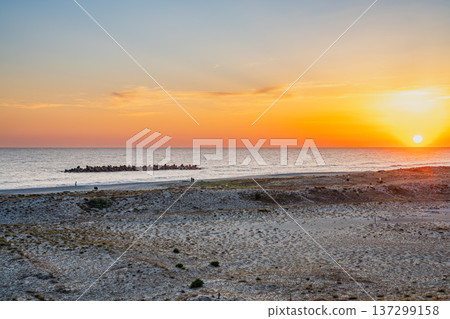 靜岡縣濱松市中田島沙丘的景色 137299158