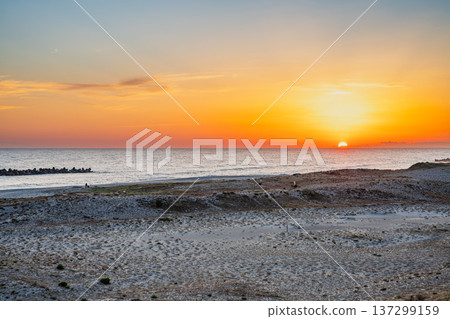 靜岡縣濱松市中田島沙丘的景色 137299159