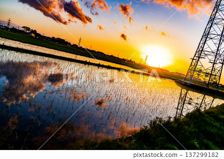 在米領域反映的日落 137299182