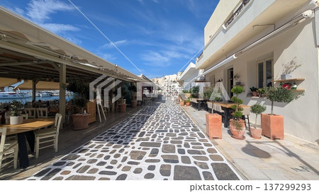 Cobblestone main street with restaurants in tourist area along with harbor 137299293