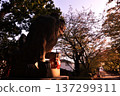 Komainu at a shrine illuminated by the setting sun 137299311