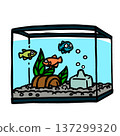 Aquarium illustration 137299320