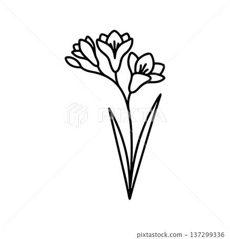 Simple freesia line drawing icon 137299336