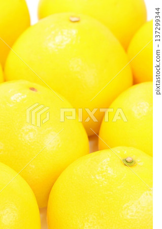 Tosa Buntan, a large citrus fruit from Kochi Prefecture, against a bright background Tosa Buntan, a large citrus fruit from Kochi Prefecture, against a bright background 137299344