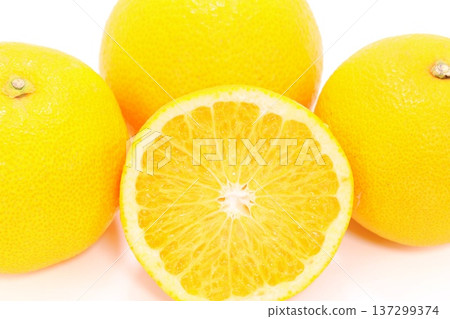Hassaku orange, cut, cross section, Wakayama prefecture, bright background Hassaku orange, cut, cross section, Wakayama prefecture, bright background 137299374