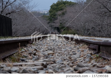 廢棄的京都斜坡鐵路 137299388