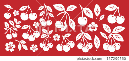 White cherries on red background. Flat vector fruits and flowers illustration for decorative, seasonal and food design themes White cherries on red background. Flat vector fruits and flowers illustration for decorative, seasonal and food design themes 137299560