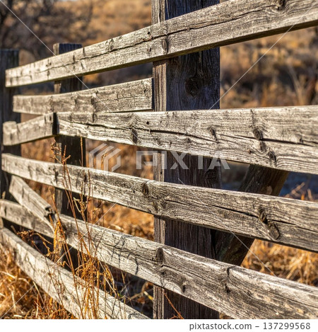 Weathered Wooden Fence in Rural Landscape with Golden Grass and Sunlight 137299568
