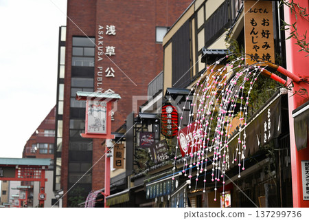 New Year's mochi flowers displayed on Denpoin Street in Asakusa [Taito Ward, Tokyo] 137299736