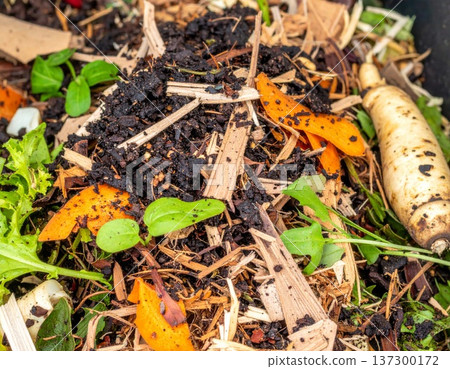 Close Up of Black Compost Pile with Colorful Food Scraps and Wood Chips in Daylight 137300172