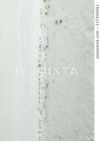 Black mold and mildew growing on white wall corner. Black mold and mildew growing on white wall corner. 137300691