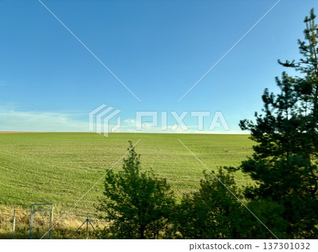鬱鬱蔥蔥的綠色景觀,遠眺地平線 鬱鬱蔥蔥的綠色景觀,遠眺地平線 137301032