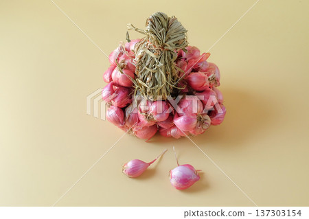 Fresh shallots on color background.Spiced vegetables. Fresh shallots on color background.Spiced vegetables. 137303154